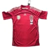 Jersey Spain Home 2014